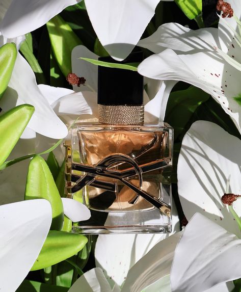 @yslbeauty Libre has gone tropical with its newest Flowers & Flames fragrance 🌴 With: 🌴 Coco-Palm Tree Flower Accord 🤍 Lily Flower Accord 🧡 Orange Blossom 💜 Diva Lavender Heart It’s a sultry, sensual, sun-kissed fragrance that’ll keep summer alive all winter long! What’s your favorite @ysl fragrance? #YSLBEAUTY #GIFTEDBYYSLBEAUTY Ysl Libre Flowers And Flames, Ysl Myself Perfume, Citrus Perfume Photography, Loewe Perfume Photography, Ysl Fragrance, Palm Tree Flowers, Frangipani Flower Perfume, Lavender Heart, Ysl Beauty