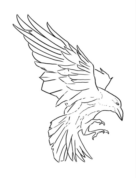 Crow Line Art Tattoo, Crow Sketch Tattoo, Raven Outline Drawing, Raven Line Art Tattoo, Raven Drawing Sketch Simple, Crow Line Tattoo, Raven Tattoo Linework, Raven Sketch Simple, Crow Tattoo Linework