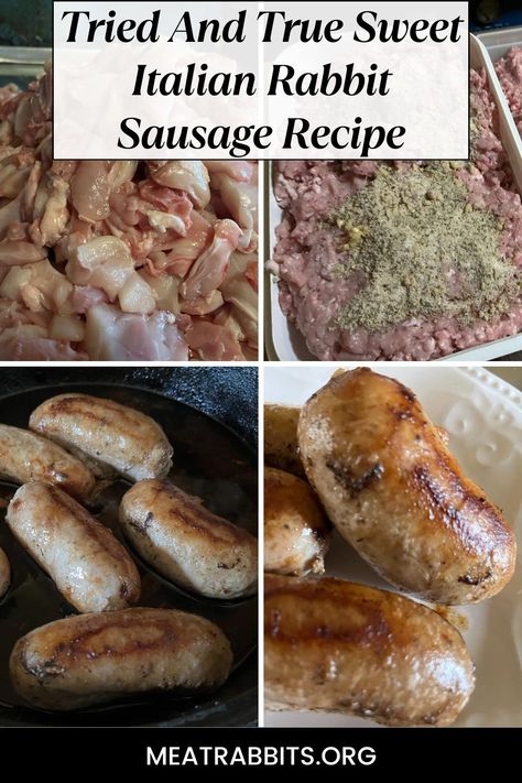 Tried And True Sweet Italian Rabbit Sausage Recipe - Meat Rabbits Recipes For Rabbit Meat, Crock Pot Rabbit Recipes, Canning Rabbit Meat, Rabbit Dinner Recipes, Stuffed Rabbit Recipe, Rabbit Meat Recipes, Rabbit Recipes Easy, Crockpot Rabbit Recipe, Butchering Rabbits