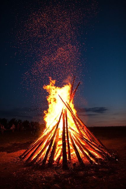 Bonfire Party Ideas Backyard Winter, Bonfire Party Ideas Backyard, Bonfire Party Ideas, Bonfire Wedding, Bonfire Lit, Midsummer's Eve, Bonfire Pits, Mossy Tree, Bonfire Party