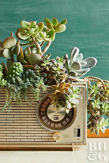 Once a counter top essential, a turn-dial radio makes a groovy home for a succulent garden. #repurposeideas #succulentdecor #gardenideas #bhg Upcycled Thrift, Succulent Containers, Wood Succulent Planter, Ghost Plant, Container Garden Design, Upcycle Garden, Thrift Store Crafts, Unique Planter, Indoor Gardens