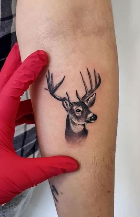 White Tail Buck Tattoo, Whitetail Antler Tattoo, Buck Tattoo For Men, Buck Tattoo Men, Deer Hunter Tattoo, Dear Tattoos, Deer Tattoo Men, Deer Tattoos For Women, Antler Drawing