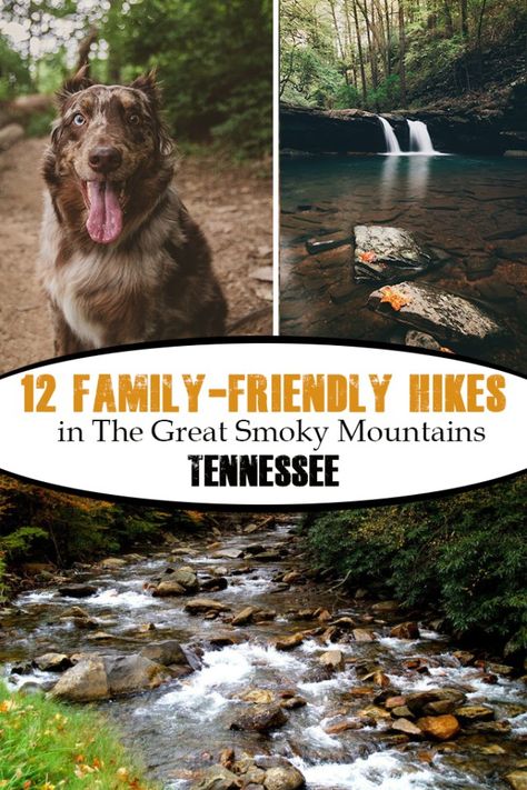 Gatlinburg Tennessee Hiking, Things To Do Pigeon Forge Tn, Gatlinburg With Kids, Dollywood Trip, Gatlinburg Tennessee Cabins, Tennessee Family Vacation, Gatlinburg Tennessee Vacation, Smokey Mountains National Park, Mountains Tennessee