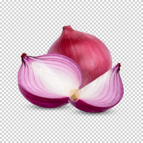 Fresh red onion isolated premiun psd | Premium Psd #Freepik #psd #red-onion #onion #white-onion #onion-slice Onion Sketch, Onion Image, Onion Pictures, Onion Ring Sauce, Onion Rings Air Fryer, Onion Rings Recipe Easy, Onion Drawing, Onion Slice, Onion Oil For Hair