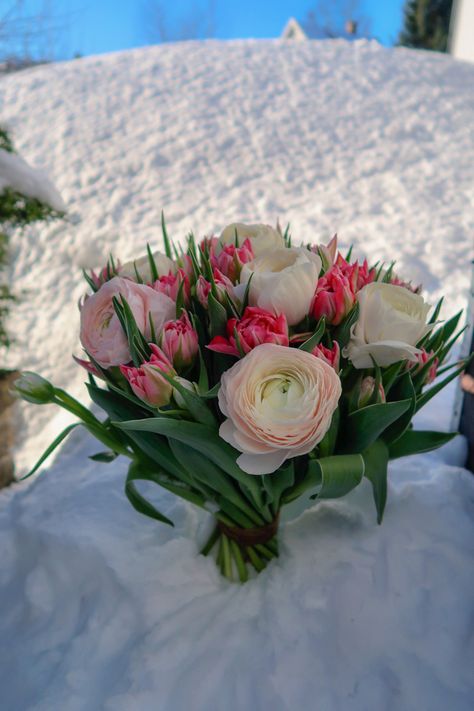 . #flowerbouquet #ranunculus #tulips #snow #springvibes #pinkflowers #floralart #nature #photography #bukietkwiatów #jaskry #tulipany #tulipaner #bukett Buy Me Flowers, Spring Vibes, 2025 Vision, Ranunculus, My Flower, Floral Art, Flowers Bouquet, Pink Flowers, Tulips