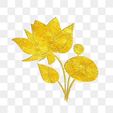 Png Clipart, Lotus, Mural, Photoshop