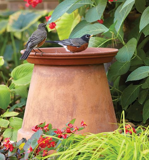 Diy Bird Bath, Bird Bath Garden, Diy Birds, Patio Diy, Wildlife Gardening, Have Inspiration, How To Attract Birds, Garden Yard Ideas, Garden Gate