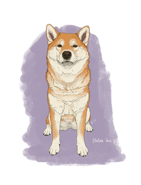 Shiba Inu Illustration. Dogs Breeds Shiba Inu Dog Drawing, Shiba Illustration, Shiba Inu Illustration, Dogs Portraits, Shiba Dog, Japanese Akita, Dogs Breeds, Shiba Inu Dog, Dog Illustration