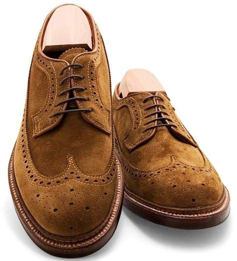 ALDEN LONG WING BLUCHER " SNUFF SUEDE 9797 " $544.00 USD Brogue Shoes Man, Casual Office Shoes, Suede Dress Shoes, Gents Shoes, Dress Up Shoes, Business Casual Shoes, Gentleman Shoes, Cat Shoes, London Shoes