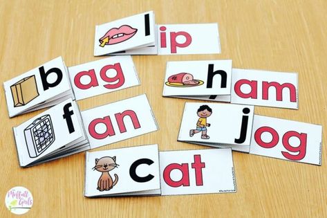 At Family Words Worksheet, Education Assistant, Simple Fractions, Cvc Word Families, Alphabet Phonics, Flip Books, Teaching The Alphabet, Word Family, Learning Time