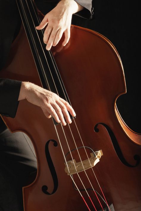 Bass Orchestra Aesthetic, Chello Instruments Aesthetic, Upright Bass Aesthetic, Double Bass Aesthetic, Bass Aesthetic, Bass Cello, Aesthetic Black And White, Musician Photography, Perfect Pitch