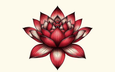 Red Lotus Tattoo, Lotus Tattoo Meaning, Red Lotus Flower, Lotus Flower Drawing, Flower Tattoo Stencils, Lotus Vector, Buddhist Iconography, Lotus Symbol, Love Spiritual