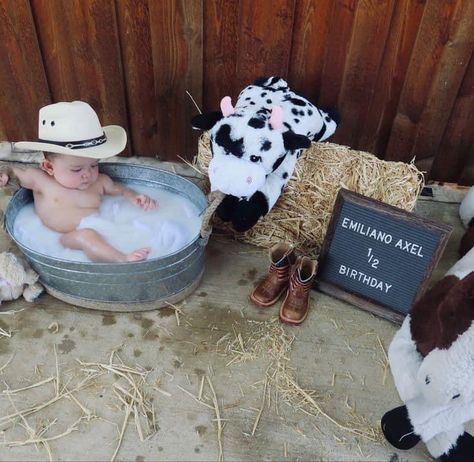 Baby Boy Milk Photoshoot, Western Half Birthday, Western Milestone Pictures, Western 6 Month Baby Picture Ideas, 6 Month Cowboy Photoshoot, Baby Cow Photoshoot, Half Way To One Photoshoot Ideas For Boys, Baby And Cow Photoshoot, Halfway To One Photoshoot Boy