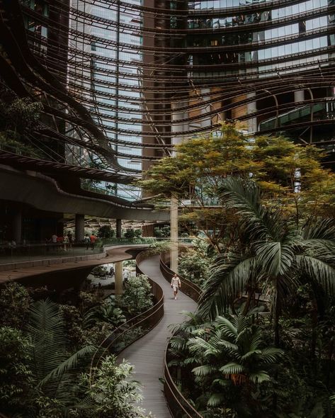 72 Hours in Singapore 📸✨🇸🇬 From Sky-high Gardens to Vibrant Street Scenes, Captured Through Our Lens ✌️ - #singapore @visit_singapore #VisitSingapore #passionmadepossible #MadeInSingapore Singapore Photography, Visit Singapore, Forest Landscape, 72 Hours, Street Scenes, Sky High, South Beach, Singapore, Tower