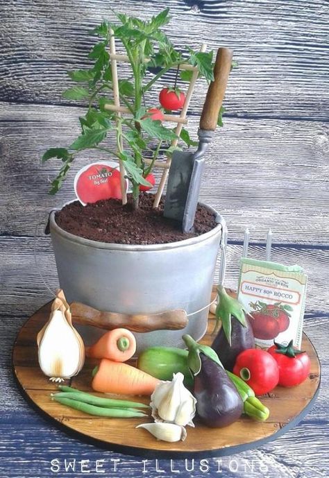 tomato plant and veggie cake  by Sweet Illusions Plant Cakes, Veggie Cake, Vegetable Garden Cake, Flower Pot Cake, Veggie Cakes, Cake 3d, Vegetable Cake, Pot Cakes, Realistic Cakes