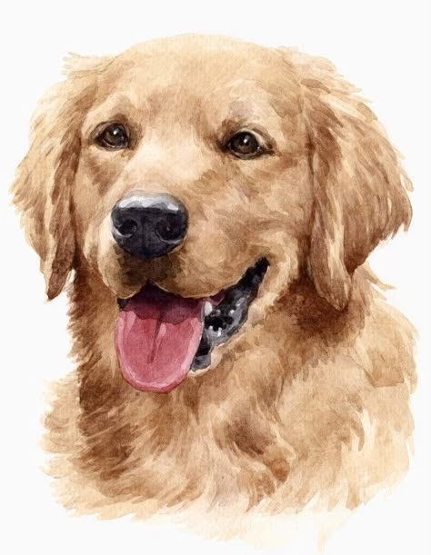 Golden Retriever Watercolor, Golden Retriever Painting, Dog Watercolor Painting, Golden Retriever Art, Dog Portraits Painting, Watercolor Dog, Retriever Puppy, Dogs Golden Retriever, Dog Blanket