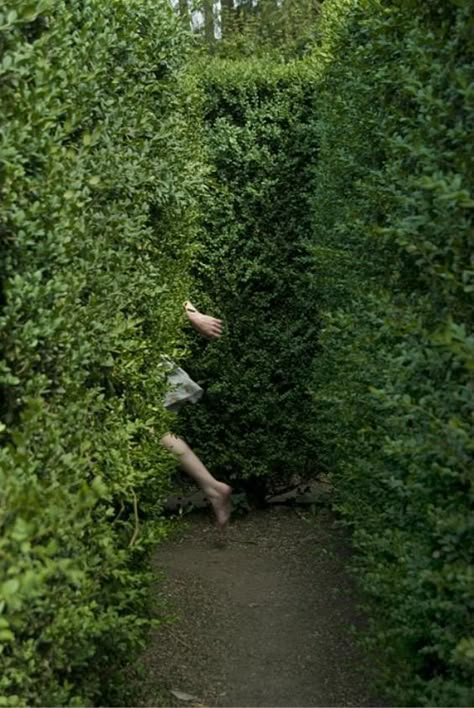 Person In Nature, In The Woods Aesthetic, Hedge Maze, Fotografi Vintage, The Secret Garden, Story Inspiration, Non Fiction, Narnia, Juno