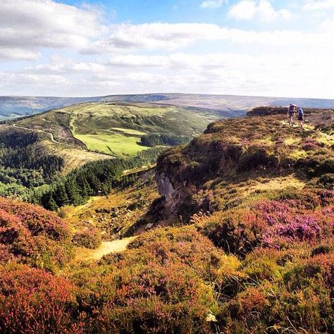 North Yorkshire Moors <3 North Yorkshire Moors, Crowd Reference, Heather Gardens, North York Moors National Park, Yorkshire Moors, Panel Ideas, Wild Camping, Landscape Inspiration, North York Moors