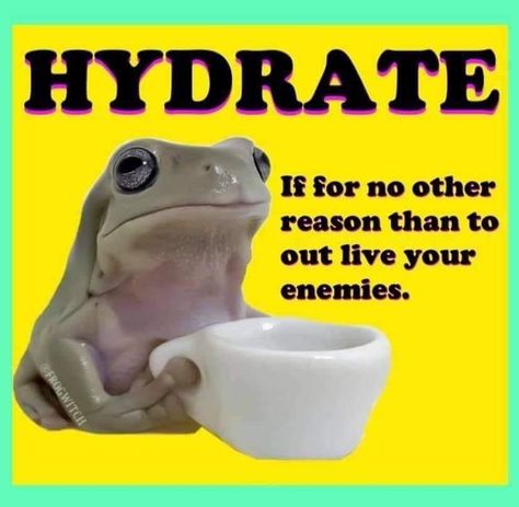 A moderately sized DK dump of stolen memes for these trying times 285. - Imgur Hydrate Quotes, Stay Hydrated Funny, Water Meme, Water Reminder, Sleep Funny, Dream Symbols, Funny Frogs, Funniest Memes, Funny Reaction Pictures