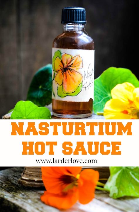 Fire Cider Recipe, Nasturtium Flowers, Herbal Vinegar, Edible Flowers Recipes, Homemade Hot Sauce, Foraging Recipes, Fire Cider, Hot Sauce Recipes, Foraged Food