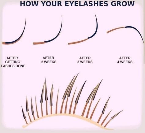 Eyelash Extensions Care, Eyelashes Quotes, Eyelash Studio, Eyelash Extensions Salons, Lashes Fake Eyelashes, Lash Quotes, Eyelash Tips, Lash Studio, Eyelash Technician