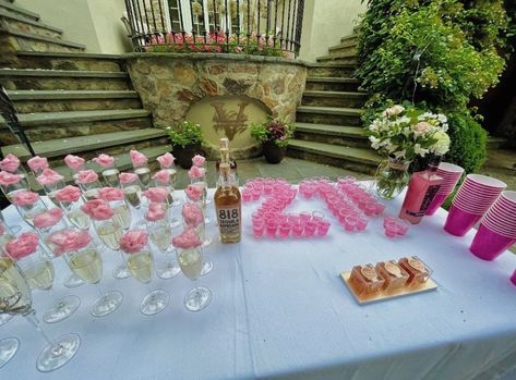 21st birthday decor twenty first pink decor champagne glasses tequila 21st Elegant Birthday Ideas, 21st Birthday Party Table Set Up, Pink Birthday Party Aesthetic 21, 21 Birthday Dessert Table, Decor For 21st Birthday Party, 21st Hotel Decorations, Silver And Pink 21st Birthday, 21st Birthday Outdoor Decorations, 21st Birthday Outdoor Party