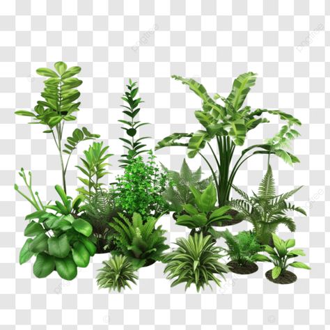 a set of plants in different sizes picture tropical garden with and flowers a set of plants in dif Tropical Plants Drawing, Plants Drawing, Transparent Image, Painting Inspo, Plants And Flowers, Flowers Garden, Illustration Artwork, Tropical Garden, Tropical Plants