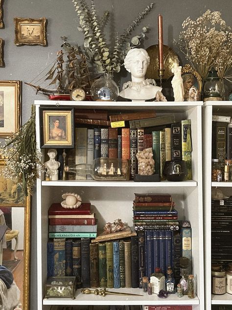 Light Academia Bookshelf, Witchy Shelf, Maximalist Room Decor, Bookshelf Aesthetic, Dreamy Room, Dream Room Inspiration, Apartment Inspiration, Room Aesthetic, Room Inspiration Bedroom