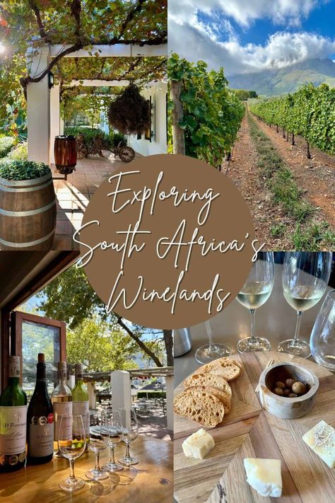 What to Do in South Africa's Winelands | How to plan a trip to the Franschhoek & Stellenbosch area, including where to stay, how to get there (& how to get around), wineries to visit, the best restaurants, and so much more! Things to do in Franschhoek, what to do in Stellenbosch, South Africa wineries to visit, Constantia area, winery visits from Cape Town. #southafrica #wineries #franschhoek #stellenbosch South Africa Wineries, Stellenbosch Wineries, South Africa Winelands, South Africa Wine, Cape Town Travel Guide, Cape Town Itinerary, South Africa Travel Guide, Cold Weather Travel, Africa Honeymoon