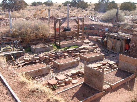 Homestead In The Desert, Desert Compound, Desert Homesteading, Garden Terracing, Desert Agriculture, High Desert Gardening, Florence Garden, High Desert Homestead, Desert Vegetable Garden