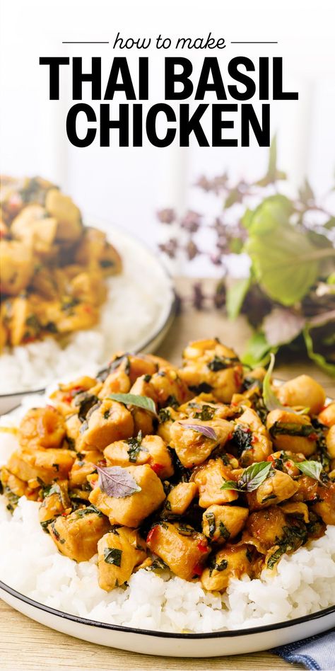 This bold and spicy Thai basil chicken recipe can be ready in just 20 minutes (and it's so simple, quick and easy to make!). Spicy Thai Basil Chicken, Thai Basil Chicken Recipe, Thai Basil Recipes, Basil Chicken Recipe, Thai Chicken Recipes, Tomato Basil Chicken, Thai Basil Chicken, Basil Recipes, Chicken Health