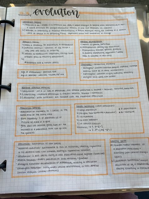 Study First Bio Ideas, Nat 5 Biology Notes, Grade 11 Biology Notes, Living Environment Notes, Anthropology Notes, Evolution Notes, Bio Notes, Learn Biology, Biology Revision