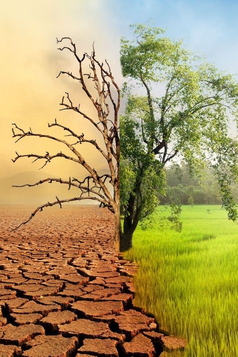 Nature Destroyed By Humans, Destroyed Landscape, Land Degradation, Rainforest Deforestation, Agriculture Photography, Weather Art, Earth Drawings, Yuval Noah Harari, Whatsapp Wallpaper Cute