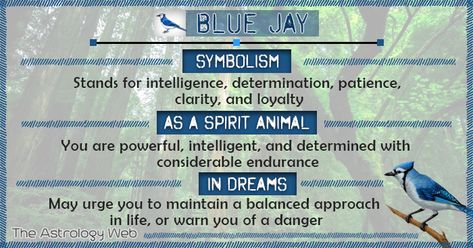 Blue Jay Meaning and Symbolism | The Astrology Web Blue Jay Meaning, Bird Meaning, Animal Totem Spirit Guides, Spirit Animal Meaning, Different Religions, Animal Meanings, Animal Tarot, Blue Jay Bird, Spiritual Animal