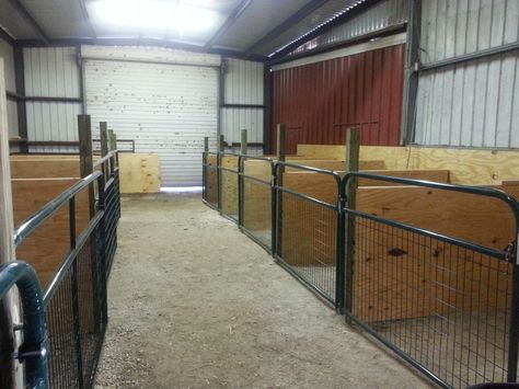 Perfect, easy barn setup. Livestock Barn, Goat Pen, Barn Layout, Livestock Shelter, Goat Shelter, Cattle Barn, Show Goats, Barn Stalls, Goat House