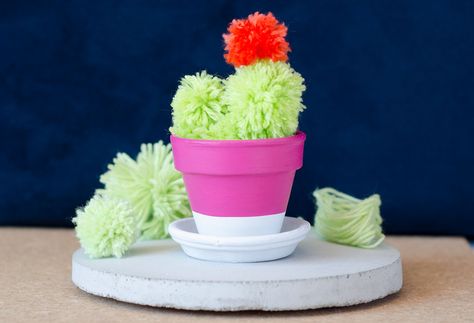 How to make a pompom cactus Pompom Cactus, Make A Pompom, Rock Cactus, She's A Rainbow, Small Terracotta Pots, Craft To Make, Pom Pom Crafts, Green Wool, Terracotta Pots