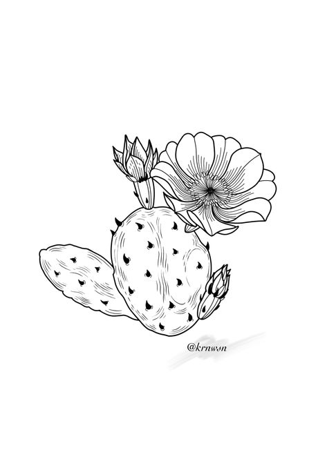 Cactus With Flower Tattoo, Fine Line Cactus Tattoo, Prickly Pear Cactus Tattoo, Prickly Pear Tattoo, Cactus Flower Tattoo, Rock Tattoo, Cactus Tattoo, Prickly Pear Cactus, Flower Sketches