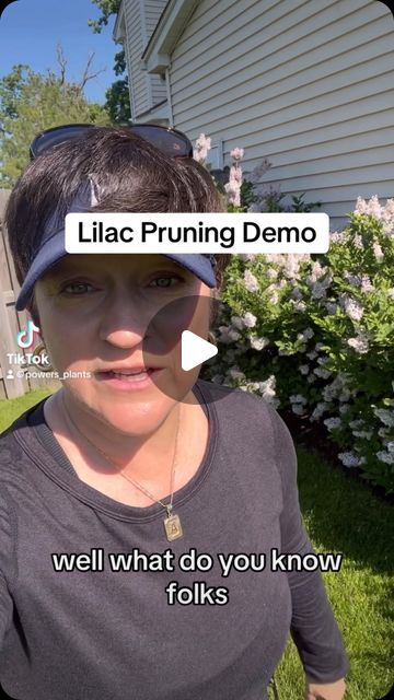 Amy Powers on Instagram: "I finally ended up at a client that needed help pruning their lilac shrubs! Here is a thorough explanation of how I pruned her lilac.  #gardening #gardeninglife #gardeningforbeginners #landscapedesign #pruning #arlingtonheightsil #arlingtonheightsillinois" How To Trim Lilac Bushes, Pruning Lilac Trees, Pruning Lilac Bushes, Lilac Landscaping, Lilac Bush Landscaping, Pruning Lilacs, Lilac Hedge, Prune Lilac Bush, Lilac Pruning