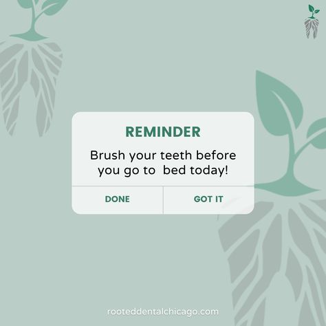 A quick reminder from us here at Rooted Dental to not forget to brush your teeth before you go to bed tonight! Make your dental hygienists proud and brush at least twice a day! .....⁠ 💻www.rooteddentalchicago.com⁠ 📧 info@rootedentalchicago.com⁠ 📲 (773) 404-0101⁠ 📍424 W Fullerton Parkway, 2nd Floor⁠ Chicago, IL 60614 #dentistry #dental #dentalhygiene #teeth #dentalhygienist #tooth #orthodontics #dentalassistant #dentalprofessional #instateeth #perfecteeth #dentalspecialist Dental Hygienist Quotes, Dental Social Media Posts, Dentistry Quotes, Dental Instagram, Dental Clipart, Dental Content, Dental Post, Dentist Quotes, Dentist Social Media