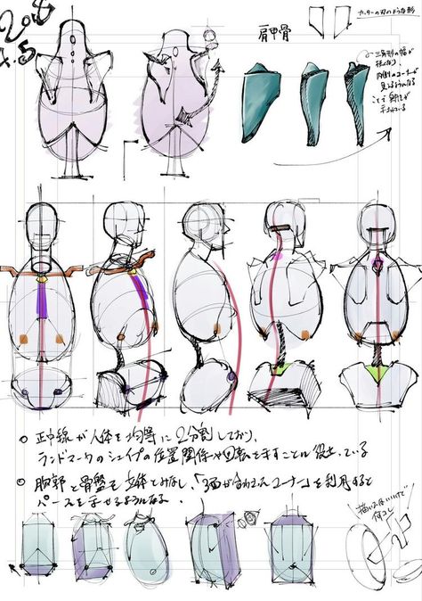 Anatomy Help, Figure Drawing Tutorial, Anatomy Tutorial, Human Anatomy Drawing, Body Drawing Tutorial, Human Figure Drawing, Human Anatomy Art, Anatomy Sketches, Anatomy Poses