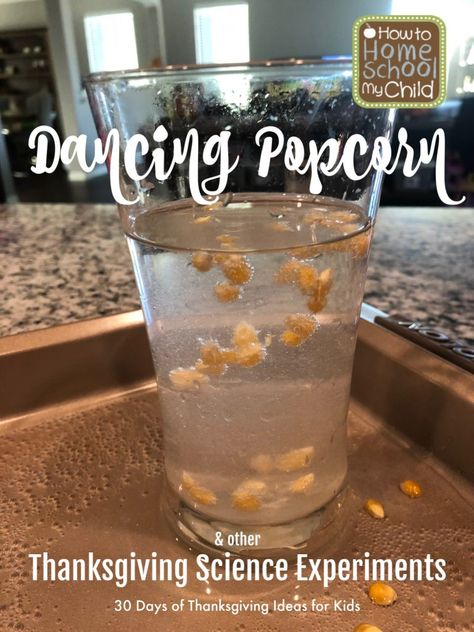 Dancing Popcorn & Other Thanksgiving Science Experiments - How To Homeschool My Child Thanksgiving Science Experiments, Dancing Popcorn Experiment, Dancing Popcorn, Thanksgiving Science, Candy Experiments, Fall Science, Simple Thanksgiving, Baking Soda Vinegar, Chemistry Experiments