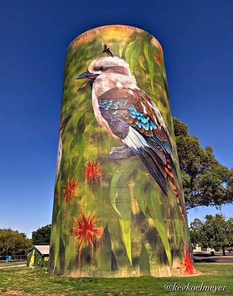 The water tower was painted in 2019 by artist Cam Scale.  Deniliquin is home to over 100 species of bird life and is a renowned birding destination. Says the artist:  "I chose the kookaburra so I could express the spectacular detail in its feathers, the flecks of turquoise and white are beautiful, and there are a lot of interesting textures and patterns which will look stunning painted”. Grafitti Street, 3d Street Art, Car Artwork, Side A, Art Calendar, Camp Fire, Murals Street Art, Building Art, Big Art