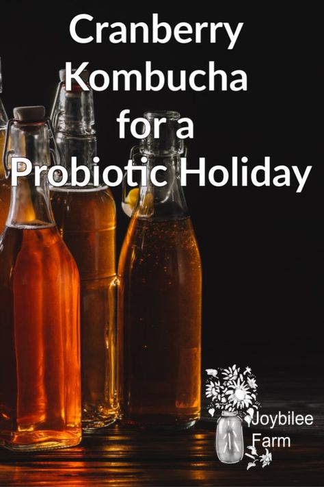 Cranberry Kombucha for a probiotic Holiday | Cranberry Kombucha, Grape Cocktails, Make Your Own Kombucha, Pomegranate Cocktails, Growing Citrus, Kombucha Starter, Kombucha Flavors, Kombucha Scoby, Gallon Jars