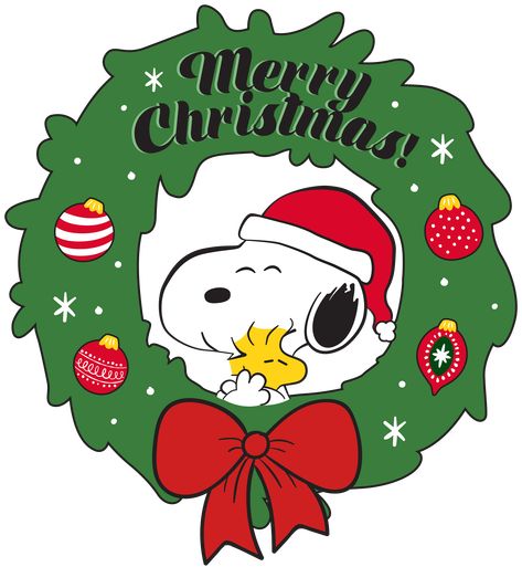 Snoopy Museum, Snoopy Images, Snoopy Wallpaper, Peanuts Christmas, Christmas Rock, Snoopy Pictures, Cute Christmas Wallpaper, Snoopy Love, Charlie Brown Christmas