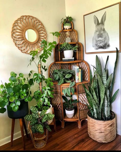 Plant Decor Indoor, House Plants Decor, Apartment Decor Inspiration, Room With Plants, House Plants Indoor, Boho Living Room, Dream House Decor, Aesthetic Room Decor, Plant Decor