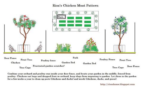 Chicken Moat, Deer Fence, Microsoft Paint, Chicken Run, Farm Layout, Future Farms, Chicken Garden, Chicken Runs, Hobby Farms