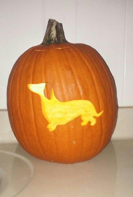 My Dachshund pumpkin Dachshund Pumpkin, Pumkin Ideas, Disney Pumpkin Painting, Dear Abby, Dachshund Halloween, Dachshund Stuff, Carving Templates, Disney Pumpkin Carving, Happy Halloweenie