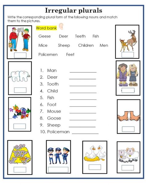 The plural of nouns interactive exercise for 1st grade. You can do the exercises online or download the worksheet as pdf. Plural Nouns Worksheet 1st Grade, Irregular Plurals Worksheet, Plural Of Nouns Worksheets, Irregular Nouns Worksheets, Singular Plural Worksheets For Grade 1, Singular And Plural Nouns Worksheet, Irregular Plural Nouns Activities, Plural E Singular, Plural Of Nouns