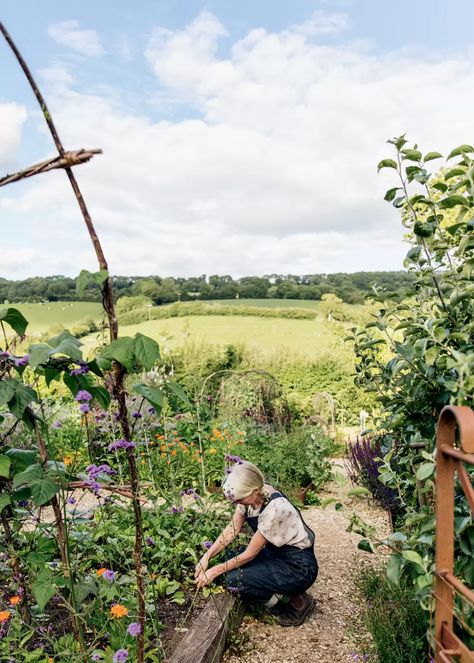 Scandinavian Garden Ideas, Cottage Allotment, Brain Retraining, Dreamy Gardens, Vege Garden, Scandinavian Garden, Eco Village, Tattoo Plant, Perennial Vegetables