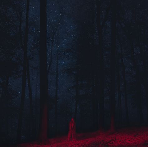 phone wallpaper punisher x folklore #taylorswift #folklore #punisher #phoebe Dark Forest, New Wall, Red Light, Album Art, Cinematography, Short Film, At Night, Aesthetic Pictures, Cool Pictures